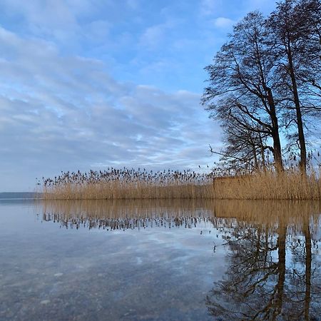 Willa Zielony Domek Drzewoszewo Mirosławiec Zewnętrze zdjęcie